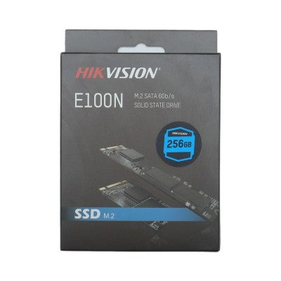 HS-SSD-E100N(STD)/256G